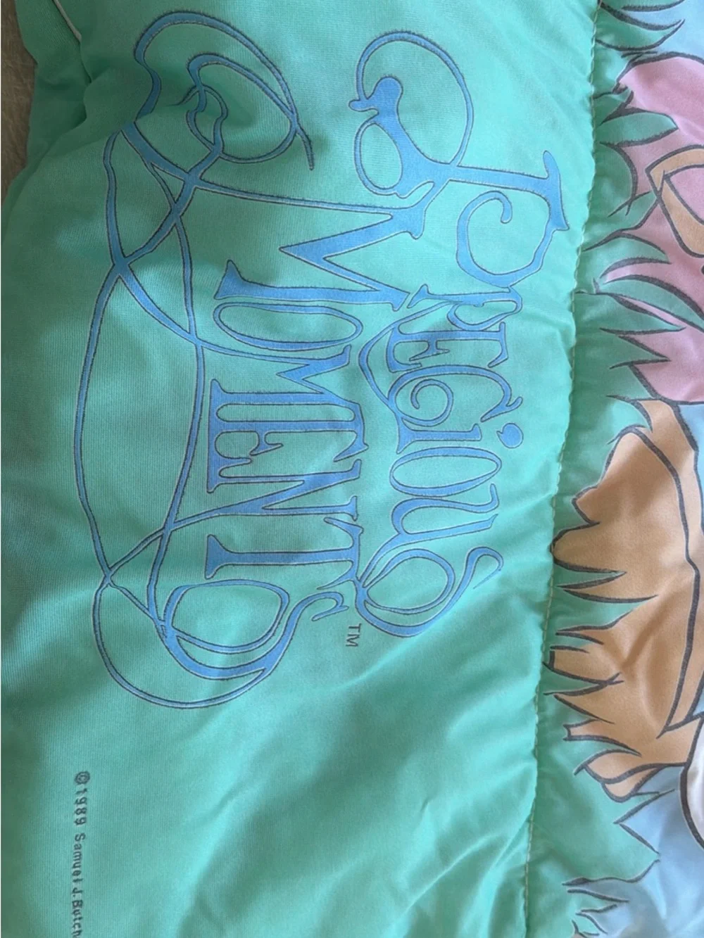 Vintage 1989 Precious Moments Sleeping Bag with Matching Storage Bag